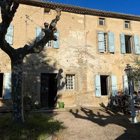 Les 3 Platanes Bed and Breakfast Conilhac-Corbières Eksteriør billede