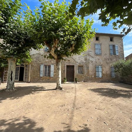 Les 3 Platanes Bed and Breakfast Conilhac-Corbières Eksteriør billede